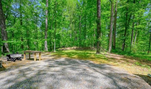Photo #14 of 14584 CROSS COUNTY RD, MINERAL, VA 78.8 acres
