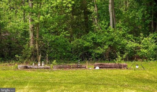 Photo #25 of 14584 CROSS COUNTY RD, MINERAL, VA 78.8 acres