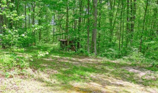 Photo #26 of 14584 CROSS COUNTY RD, MINERAL, VA 78.8 acres