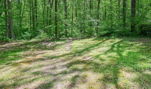 Photo #27 of 14584 CROSS COUNTY RD, MINERAL, VA 78.8 acres