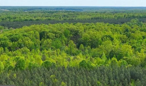 Photo #32 of 14584 CROSS COUNTY RD, MINERAL, VA 78.8 acres