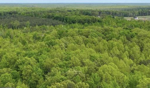 Photo #33 of 14584 CROSS COUNTY RD, MINERAL, VA 78.8 acres