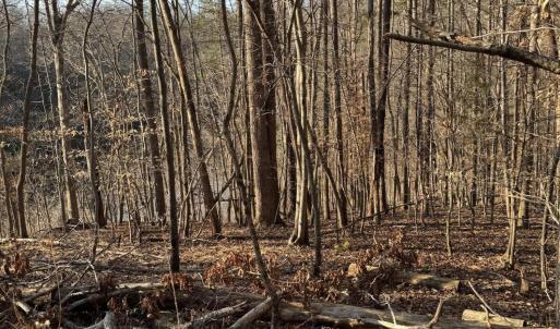 Lot 26 Poplar Dr.