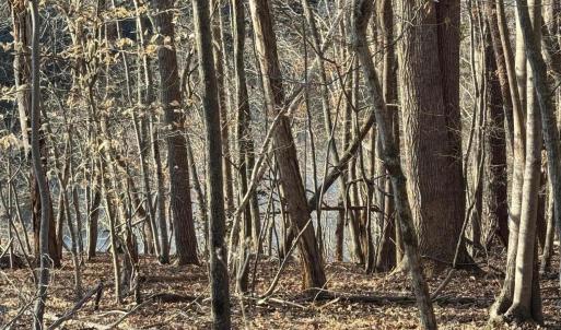 Lot 26 Poplar Dr.