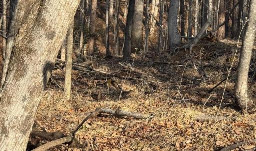 Lot 26 Poplar Dr.