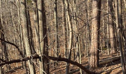 Lot 26 Poplar Dr.