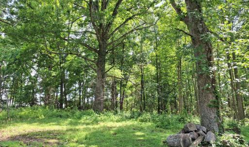 Photo #11 of 9499 OLD WATERLOO RD, WARRENTON, VA 5.5 acres