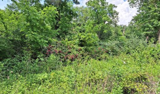 Photo #2 of 9499 OLD WATERLOO RD, WARRENTON, VA 5.5 acres
