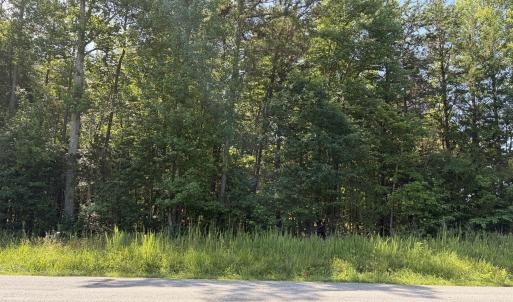 Road View