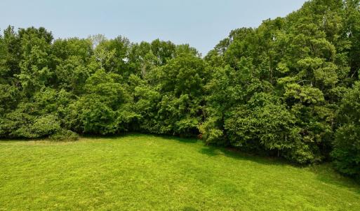 New Photos - 10