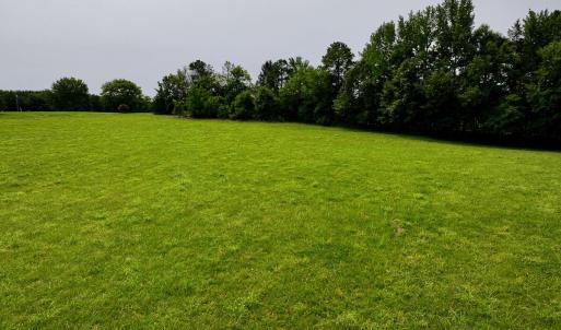 New Photos - 11