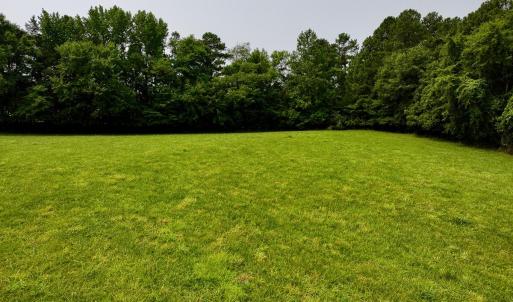 New Photos - 15