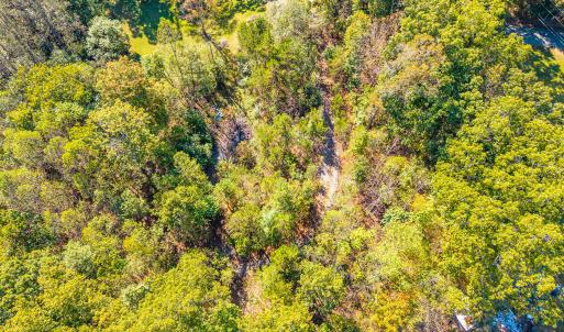 stoney run_022