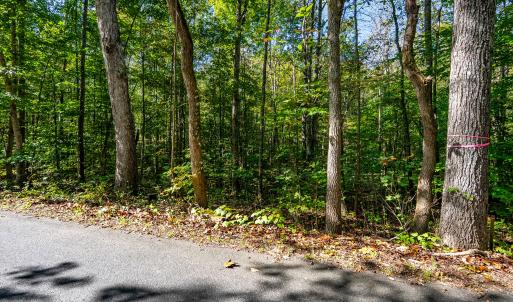 stoney run_003