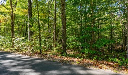 stoney run_002