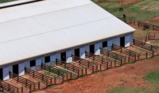 Horse Farm - 9