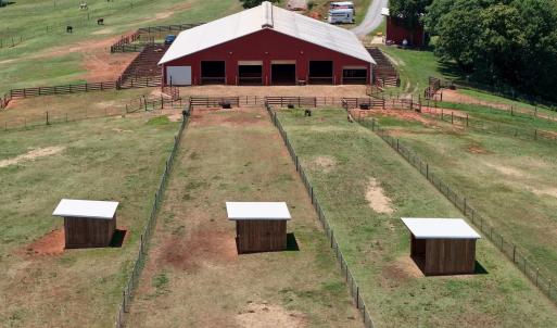 Horse Farm - 24