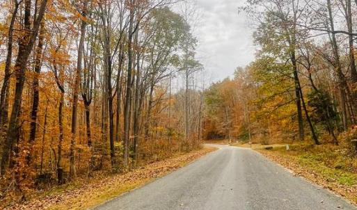 Photo #11 of 8704 MILLWOOD DR, SPOTSYLVANIA, VA 4.9 acres