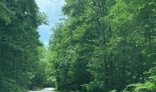 Photo #1 of 8704 MILLWOOD DR, SPOTSYLVANIA, VA 4.9 acres