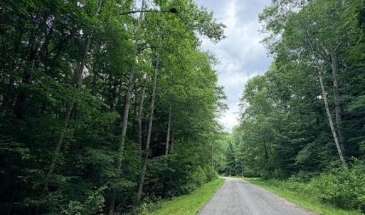 Photo #6 of 8704 MILLWOOD DR, SPOTSYLVANIA, VA 4.9 acres