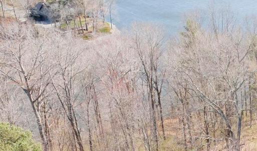 Lot 5 Longview Estates Aerial