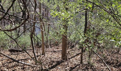 Jordan lot 3  .3
