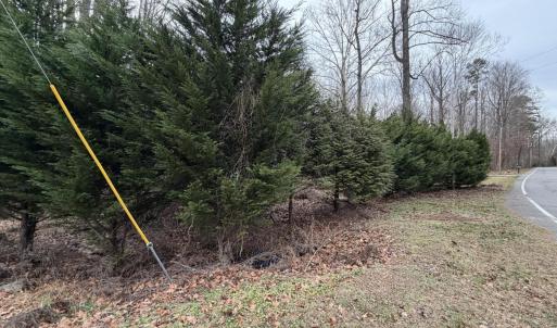 Wooded Lots