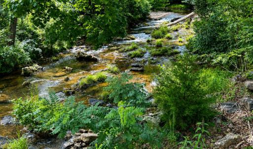 creek