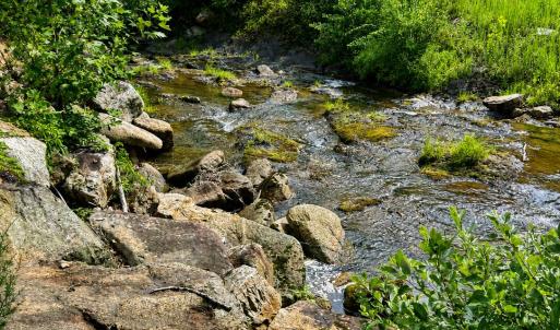 creek view