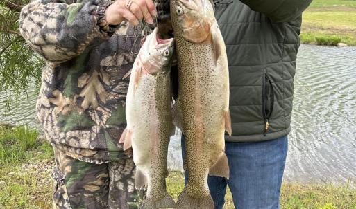 nice catch