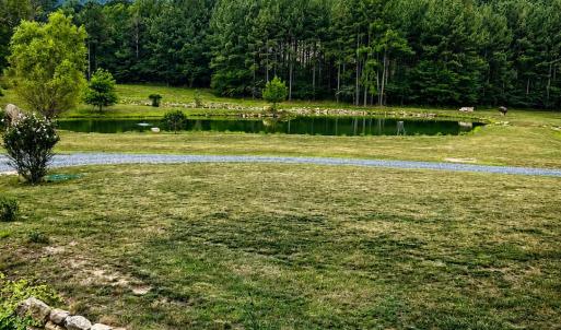 pond view