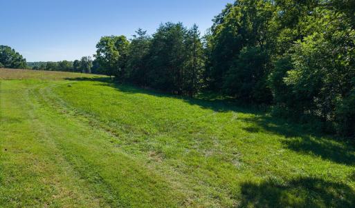 Open field meets natural tree line