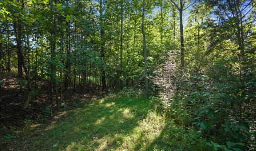 Wooded trail winds through the land