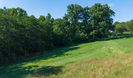 Rolling pasture with mature tree line