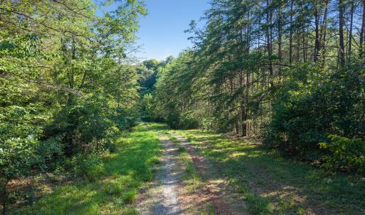 Gravel drive leading down to river