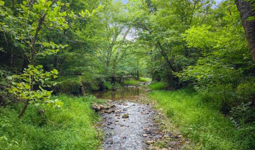 Clear creek flowing through greenery
