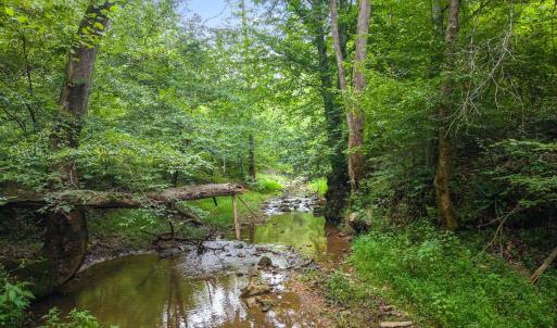 Fallen log crosses shallow creek