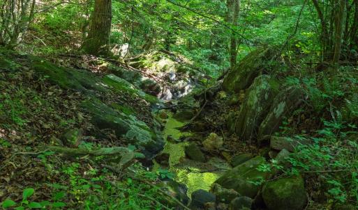 Stream cascades through rocky terrain