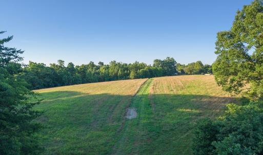 Wide open field