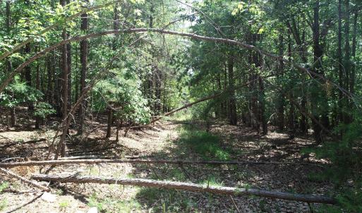 Entrence on 35 Acre Tract