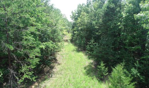 Road Through Property