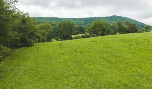 DJI_20260804125334_0308_D