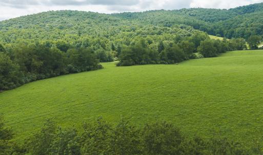 DJI_20260804121121_0270_D
