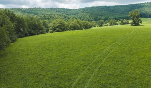 DJI_20260804121234_0273_D