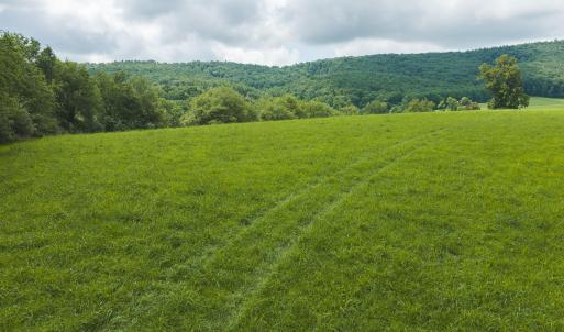 DJI_20260804121239_0274_D