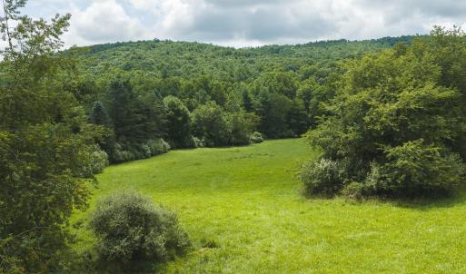 DJI_20260804121327_0277_D