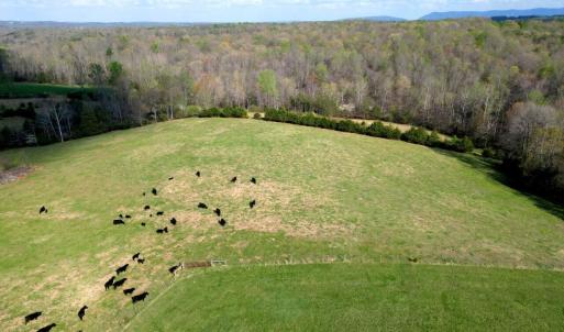 DJI_0003