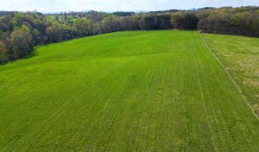 DJI_0974