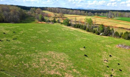 DJI_0975