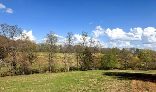 Tract-01-IMG_1354